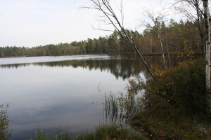 IMG_5439